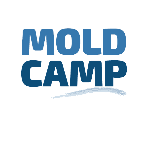Moldcamp - a DrupalCamp you do not want to miss